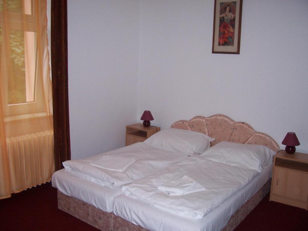 Penzion Haus Regrus Jachymov Δωμάτιο φωτογραφία
